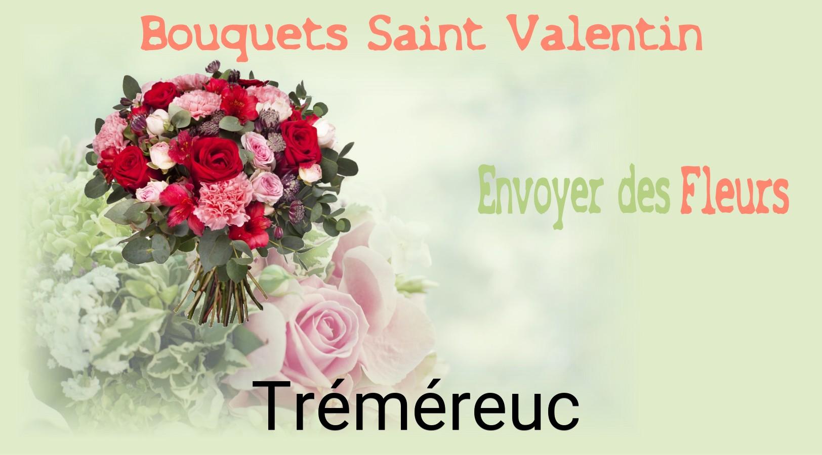 Roses de Saint-Valentin livrées à Tréméreuc