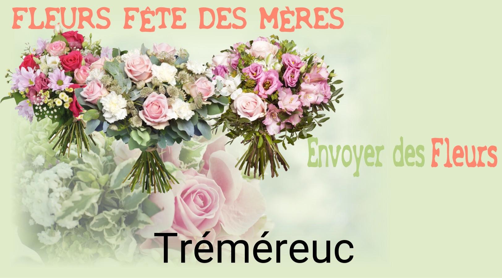 Bouquet de Fête des Mères livré à Tréméreuc